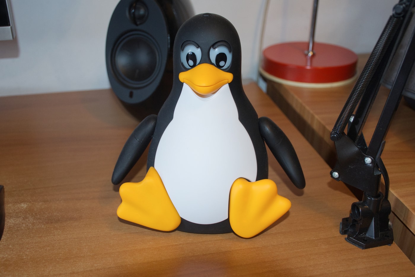 My penguin robot, TuxDroid